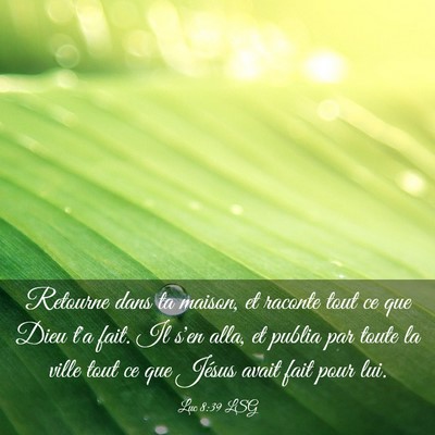 Picture 03 - Luc 8:39 LSG - Retourne dans ta maison, et raconte tout ce que - Bible Verse Picture