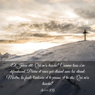 Picture 03 - Luc 8:45 LSG - Et Jésus dit: Qui m'a touché? Comme tous s'en - Bible Verse Picture