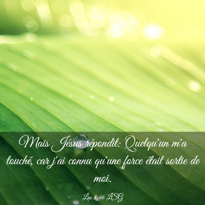 Picture 03 - Luc 8:46 LSG - Mais Jésus répondit: Quelqu'un m'a touché, car - Bible Verse Picture