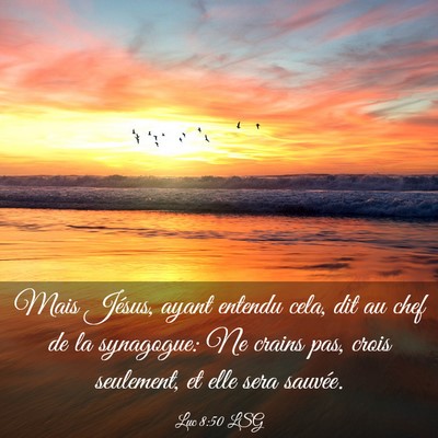 Picture 03 - Luc 8:50 LSG - Mais Jésus, ayant entendu cela, dit au chef de - Bible Verse Picture