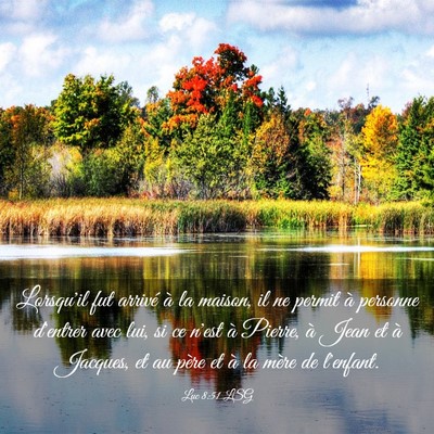 Picture 03 - Luc 8:51 LSG - Lorsqu'il fut arrivé à la maison, il ne permit - Bible Verse Picture