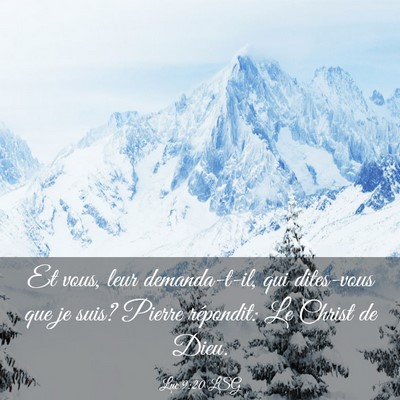 Picture 03 - Luc 9:20 LSG - Et vous, leur demanda-t-il, qui dites-vous que je - Bible Verse Picture