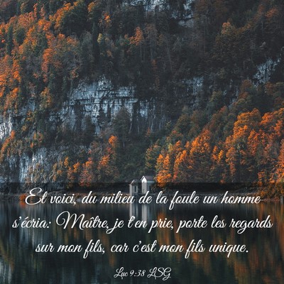 Picture 03 - Luc 9:38 LSG - Et voici, du milieu de la foule un homme - Bible Verse Picture