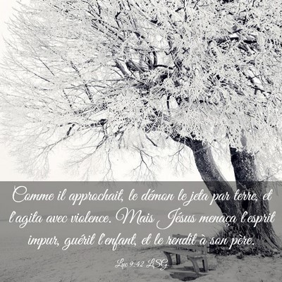 Picture 03 - Luc 9:42 LSG - Comme il approchait, le démon le jeta par terre, - Bible Verse Picture