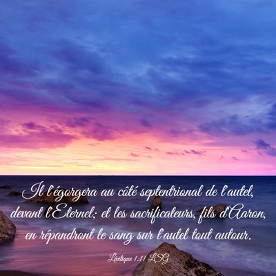 Picture 03 - Lévitique 1:11 LSG - Il l'égorgera au côté septentrional de - Bible Verse Picture