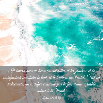 Picture 03 - Lévitique 1:13 LSG - Il lavera avec de l'eau les entrailles et les - Bible Verse Picture