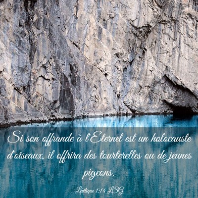 Picture 03 - Lévitique 1:14 LSG - Si son offrande à l'Eternel est un holocauste - Bible Verse Picture