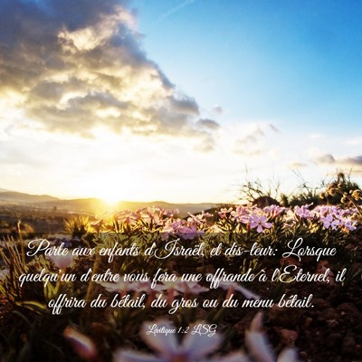 Picture 03 - Lévitique 1:2 LSG - Parle aux enfants d'Israël, et dis-leur: Lorsque - Bible Verse Picture