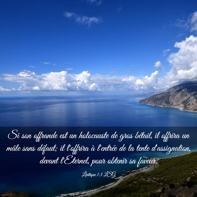 Picture 03 - Lévitique 1:3 LSG - Si son offrande est un holocauste de gros - Bible Verse Picture
