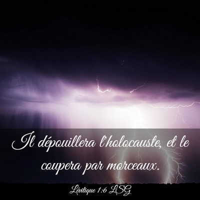 Picture 03 - Lévitique 1:6 LSG - Il dépouillera l'holocauste, et le coupera par - Bible Verse Picture