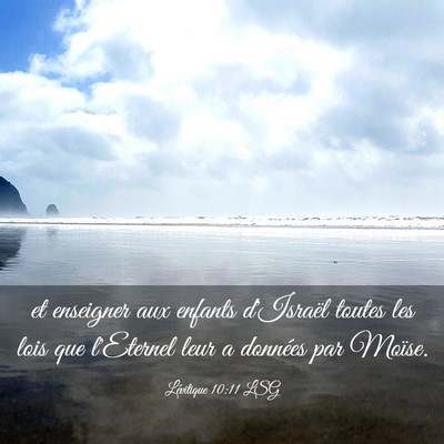Picture 03 - Lévitique 10:11 LSG - et enseigner aux enfants d'Israël toutes les - Bible Verse Picture
