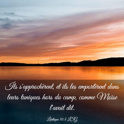 Picture 03 - Lévitique 10:5 LSG - Ils s'approchèrent, et ils les emportèrent dans - Bible Verse Picture