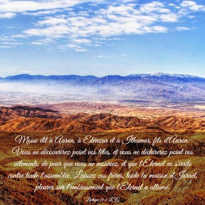 Picture 03 - Lévitique 10:6 LSG - Moïse dit à Aaron, à Eléazar et à Ithamar, - Bible Verse Picture