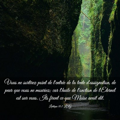 Picture 03 - Lévitique 10:7 LSG - Vous ne sortirez point de l'entrée de la tente - Bible Verse Picture