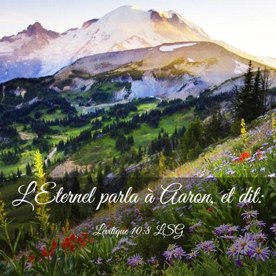 Picture 03 - Lévitique 10:8 LSG - L'Eternel parla à Aaron, et - Bible Verse Picture