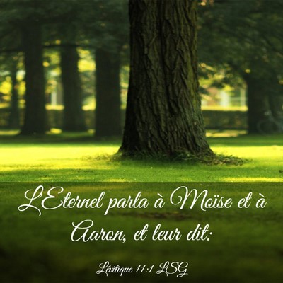 Picture 03 - Lévitique 11:1 LSG - L'Eternel parla à Moïse et à Aaron, et leur - Bible Verse Picture