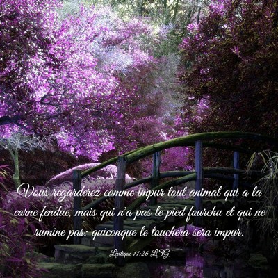 Picture 03 - Lévitique 11:26 LSG - Vous regarderez comme impur tout animal qui a la - Bible Verse Picture