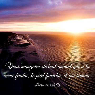 Picture 03 - Lévitique 11:3 LSG - Vous mangerez de tout animal qui a la corne - Bible Verse Picture