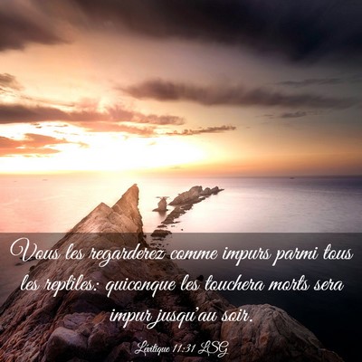 Picture 03 - Lévitique 11:31 LSG - Vous les regarderez comme impurs parmi tous les - Bible Verse Picture