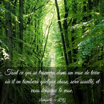 Picture 03 - Lévitique 11:33 LSG - Tout ce qui se trouvera dans un vase de terre où - Bible Verse Picture