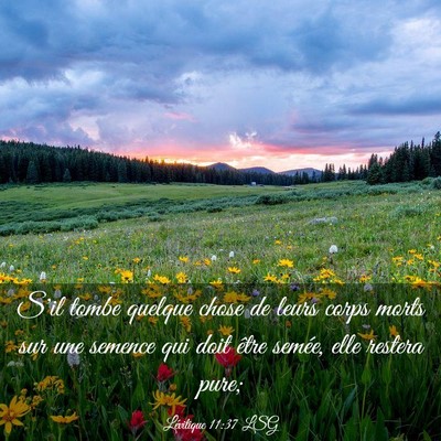 Picture 03 - Lévitique 11:37 LSG - S'il tombe quelque chose de leurs corps morts sur - Bible Verse Picture