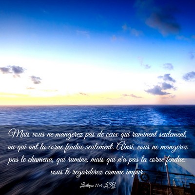 Picture 03 - Lévitique 11:4 LSG - Mais vous ne mangerez pas de ceux qui ruminent - Bible Verse Picture