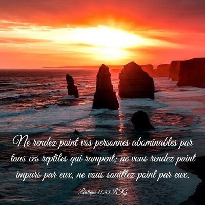 Picture 03 - Lévitique 11:43 LSG - Ne rendez point vos personnes abominables par - Bible Verse Picture