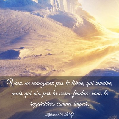 Picture 03 - Lévitique 11:6 LSG - Vous ne mangerez pas le lièvre, qui rumine, mais - Bible Verse Picture