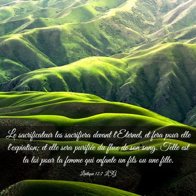 Picture 03 - Lévitique 12:7 LSG - Le sacrificateur les sacrifiera devant l'Eternel, - Bible Verse Picture