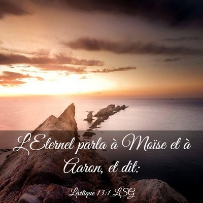 Picture 03 - Lévitique 13:1 LSG - L'Eternel parla à Moïse et à Aaron, et - Bible Verse Picture