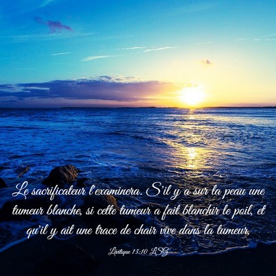 Picture 03 - Lévitique 13:10 LSG - Le sacrificateur l'examinera. S'il y a sur la - Bible Verse Picture