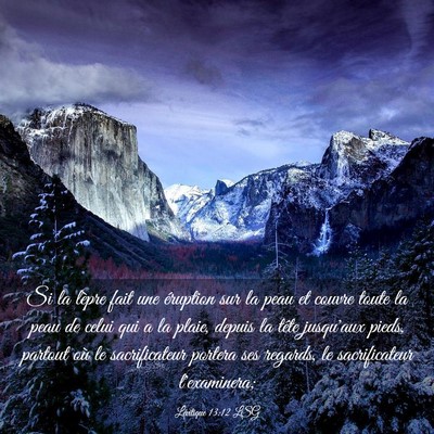 Picture 03 - Lévitique 13:12 LSG - Si la lèpre fait une éruption sur la peau et - Bible Verse Picture