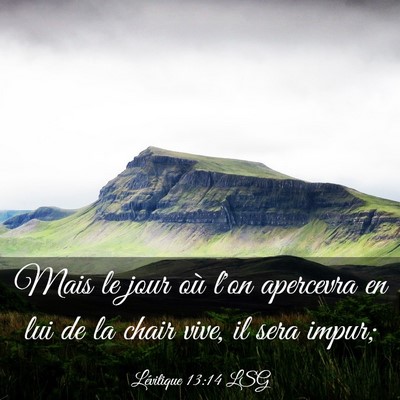 Picture 03 - Lévitique 13:14 LSG - Mais le jour où l'on apercevra en lui de la - Bible Verse Picture