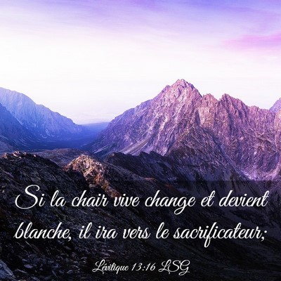 Picture 03 - Lévitique 13:16 LSG - Si la chair vive change et devient blanche, il - Bible Verse Picture
