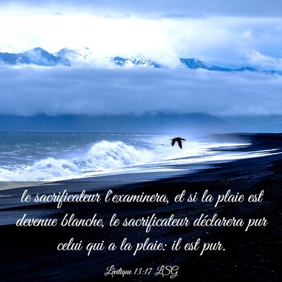 Picture 03 - Lévitique 13:17 LSG - le sacrificateur l'examinera, et si la plaie est - Bible Verse Picture