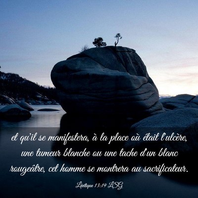 Picture 03 - Lévitique 13:19 LSG - et qu'il se manifestera, à la place où était - Bible Verse Picture