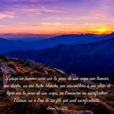 Picture 03 - Lévitique 13:2 LSG - Lorsqu'un homme aura sur la peau de son corps une - Bible Verse Picture