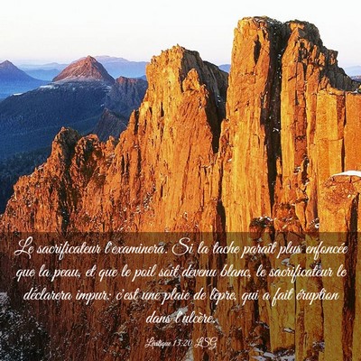 Picture 03 - Lévitique 13:20 LSG - Le sacrificateur l'examinera. Si la tache paraît - Bible Verse Picture