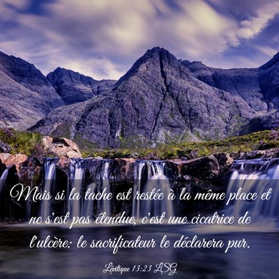 Picture 03 - Lévitique 13:23 LSG - Mais si la tache est restée à la même place et - Bible Verse Picture