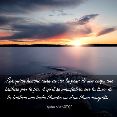 Picture 03 - Lévitique 13:24 LSG - Lorsqu'un homme aura eu sur la peau de son corps - Bible Verse Picture