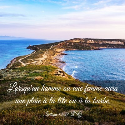 Picture 03 - Lévitique 13:29 LSG - Lorsqu'un homme ou une femme aura une plaie à la - Bible Verse Picture