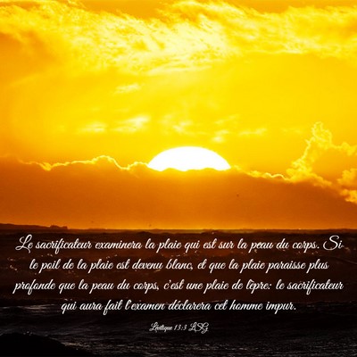 Picture 03 - Lévitique 13:3 LSG - Le sacrificateur examinera la plaie qui est sur - Bible Verse Picture