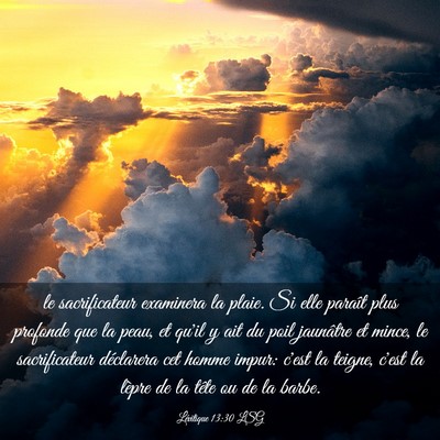 Picture 03 - Lévitique 13:30 LSG - le sacrificateur examinera la plaie. Si elle - Bible Verse Picture