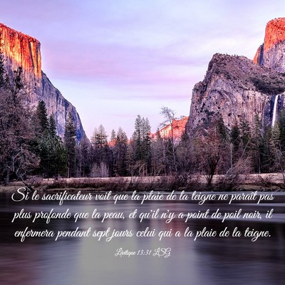 Picture 03 - Lévitique 13:31 LSG - Si le sacrificateur voit que la plaie de la - Bible Verse Picture