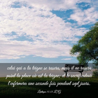 Picture 03 - Lévitique 13:33 LSG - celui qui a la teigne se rasera, mais il ne - Bible Verse Picture