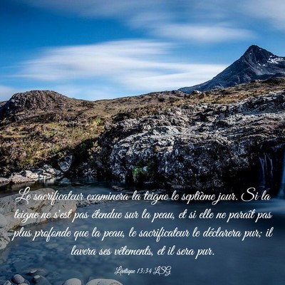 Picture 03 - Lévitique 13:34 LSG - Le sacrificateur examinera la teigne le septième - Bible Verse Picture