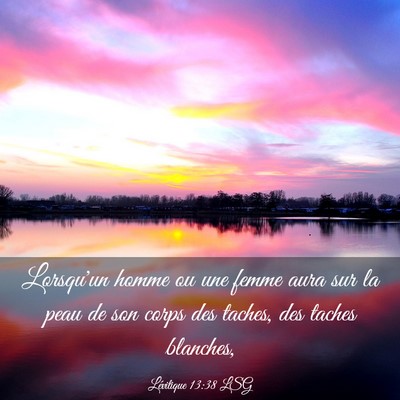 Picture 03 - Lévitique 13:38 LSG - Lorsqu'un homme ou une femme aura sur la peau de - Bible Verse Picture