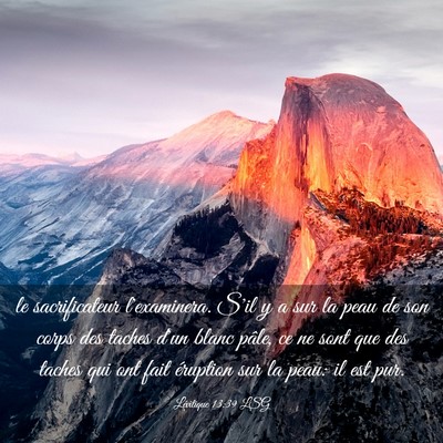 Picture 03 - Lévitique 13:39 LSG - le sacrificateur l'examinera. S'il y a sur la - Bible Verse Picture