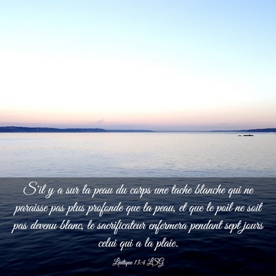 Picture 03 - Lévitique 13:4 LSG - S'il y a sur la peau du corps une tache blanche - Bible Verse Picture