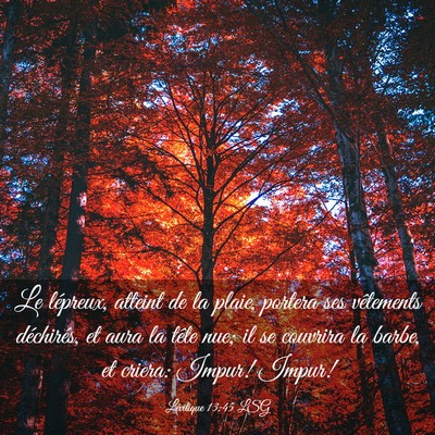 Picture 03 - Lévitique 13:45 LSG - Le lépreux, atteint de la plaie, portera ses - Bible Verse Picture